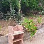 Odori Di Zagara *