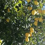 Willa Odori Di Zagara Caltanissetta